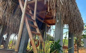 Sasy Tipis